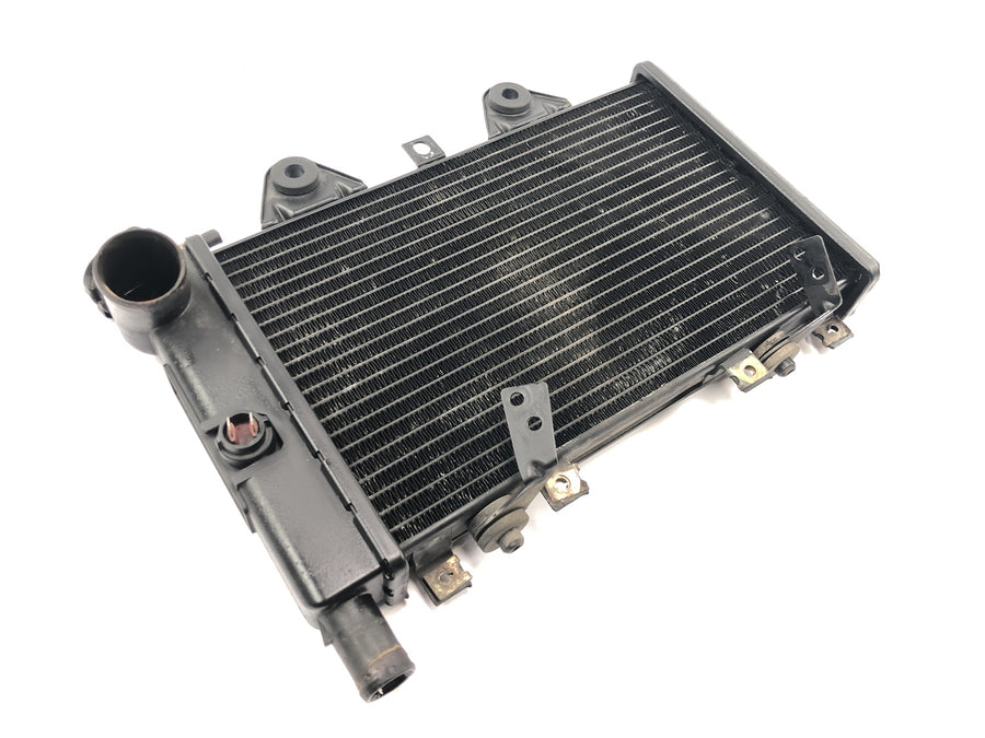 Triumph Daytona 900 T300D [1996] - Radiator water cooler cooling system
