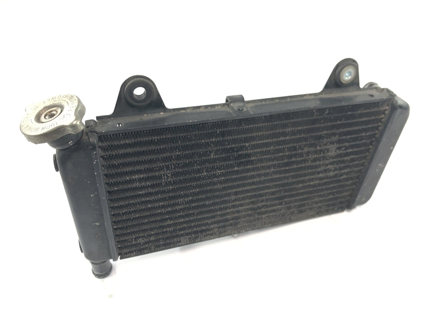 Yamaha MT 03 RM02 [2007] - Radiator water cooler engine cooler cooling system radiator