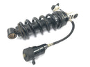 Triumph Daytona 900 T300D [1996] - Rear shock absorber strut-5