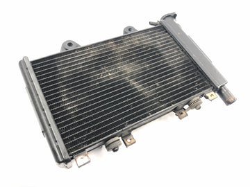 Triumph Daytona 900 T300D [1996] - Radiator water cooler cooling system