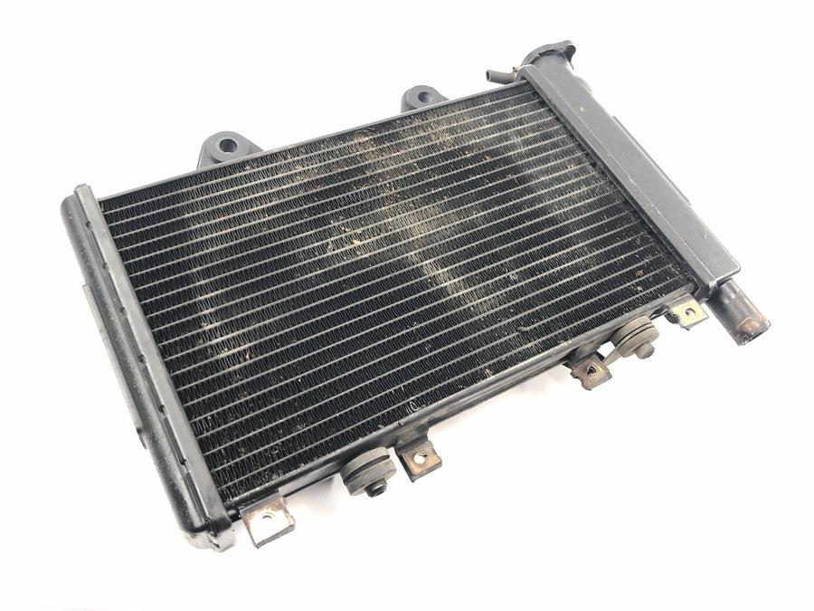 Triumph Daytona 900 T300D [1996] - Radiator water cooler cooling system