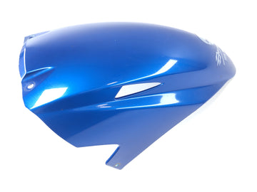 Triumph Sprint ST 1050 [2005] - fender front front fare plate at the front - 0