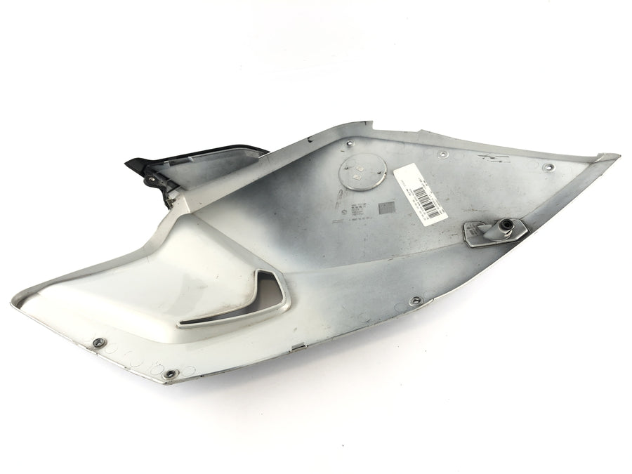 BMW K 1300 S K12S [2010] - Side cladding on the left side panel disguise part