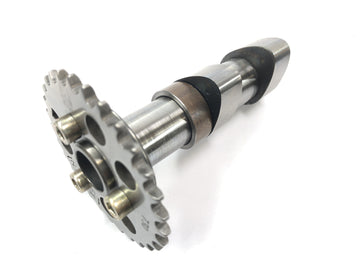 Aprilia RST 1000 Futura [2002] - camshafts set at the back of the entrance camshaft and outskirting wave wave - 0