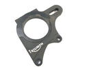 Triumph Daytona 955i T595 [1999] - Brake anchor plate-1