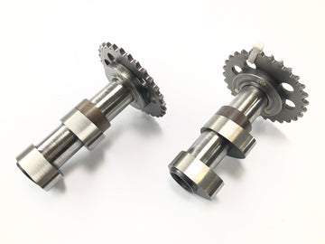 Aprilia RST 1000 Futura [2002] - camshafts set of inlet camshaft and outlet cams