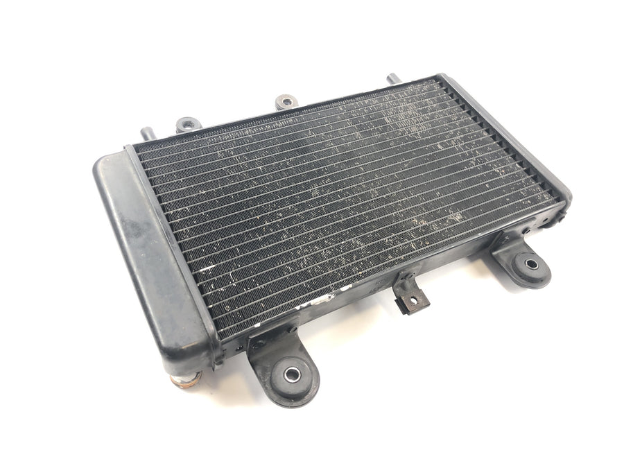 Triumph Tiger 955i 709EN [2003] - Radiator water cooler cooling system