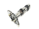 Aprilia RST 1000 Futura [2002] - camshafts set of inlet camshaft and outlet cams-3