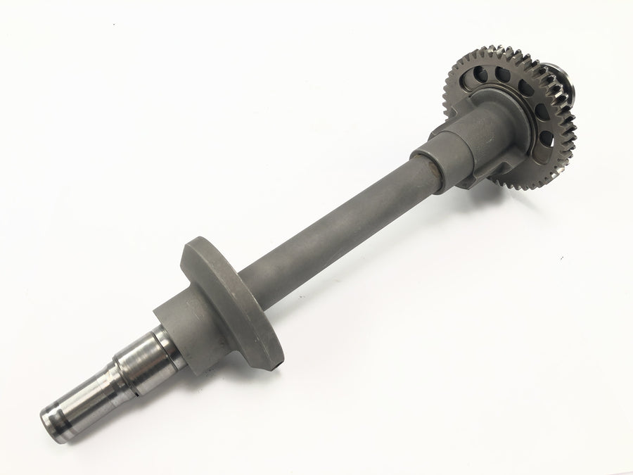 Triumph Daytona 955i T595N [2003] - compensation shaft control shaft motor shaft