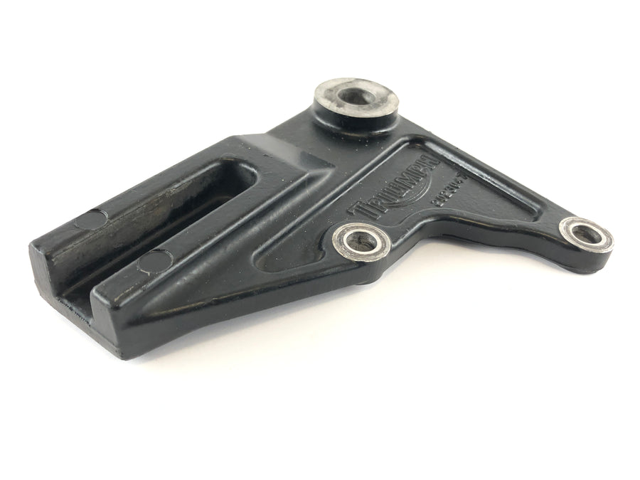 Triumph Thruxton 900 [2004] - Brake anchor plate