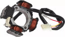 Aprilia RS 250 [101 Octanne]-alternator stores-2