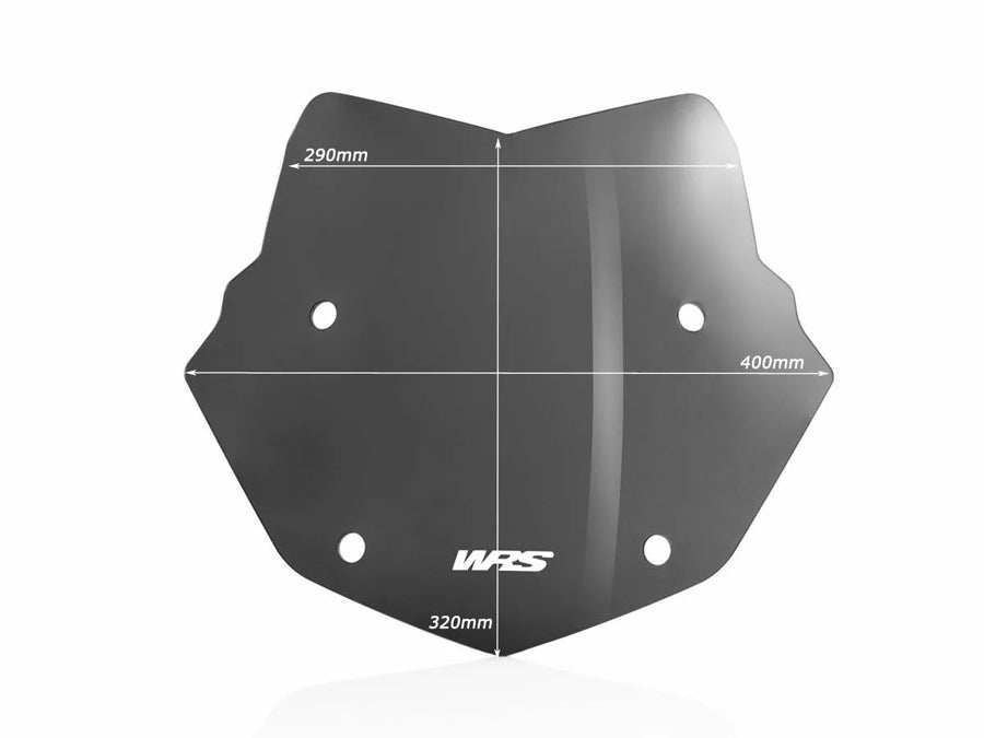 BMW R 1200 GS [WRS] - windshield