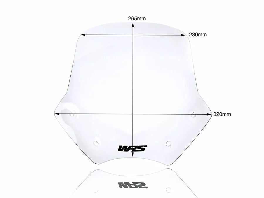 BMW R 1200 R [WRS] - windshield