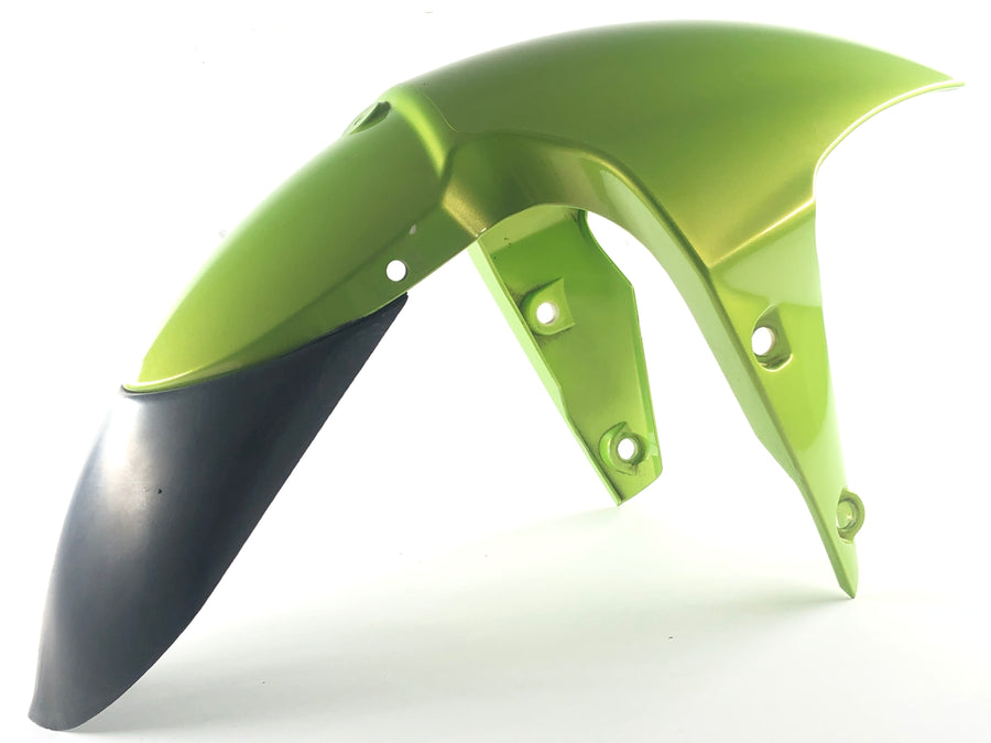 Triumph Street Triple R 675 D67LD [2008] - Front fender