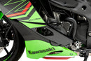 KAWASAKI ZX-4RR NINJA [2025] – Engine Guard Track for Championship-1