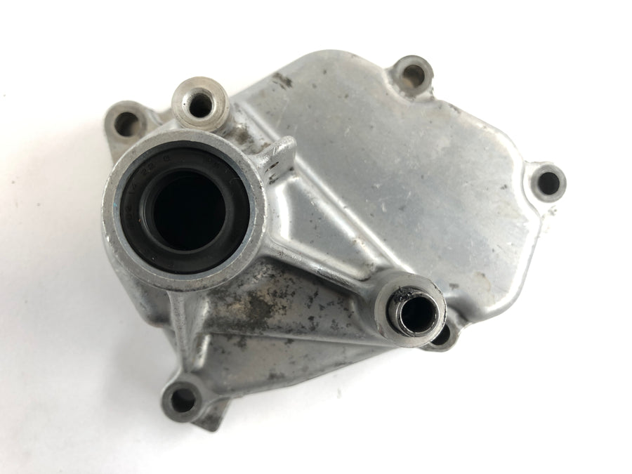 Suzuki DL 1000 V-Strom [2006] - Engine cover shift shaft cover