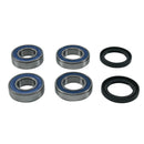 aprilia smv 1200 dorsoduro [ALL BALLS] – wheel bearing set