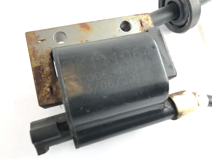 KTM Duke 390 [2014] - Ignition coil with plug