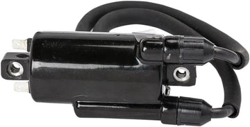 Kawasaki Ninja 650 [Rick's Motorsport Electric] - ignition coil