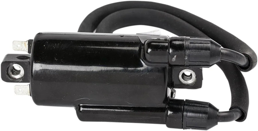 Kawasaki Ninja 650 [Rick's Motorsport Electric] - ignition coil