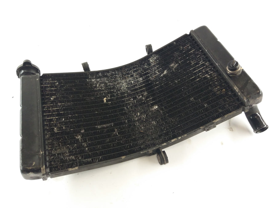 Honda CBR 900 RR SC33 [1996] - Radiator Water Cooler