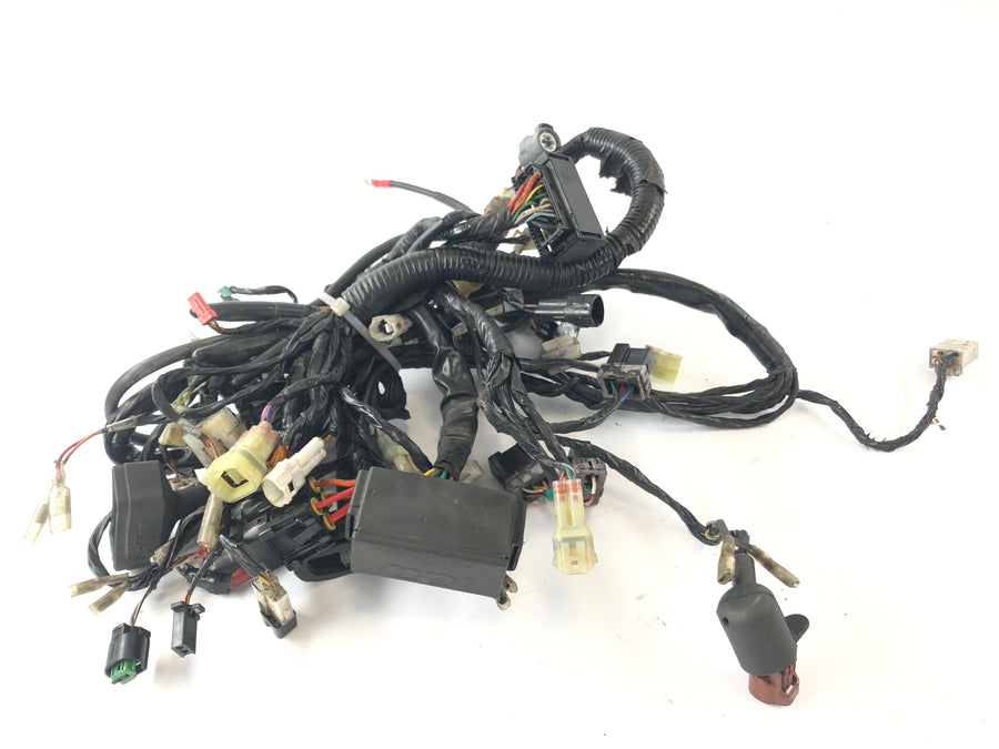 KTM Duke 690 A3 [2012] - Wiring harness