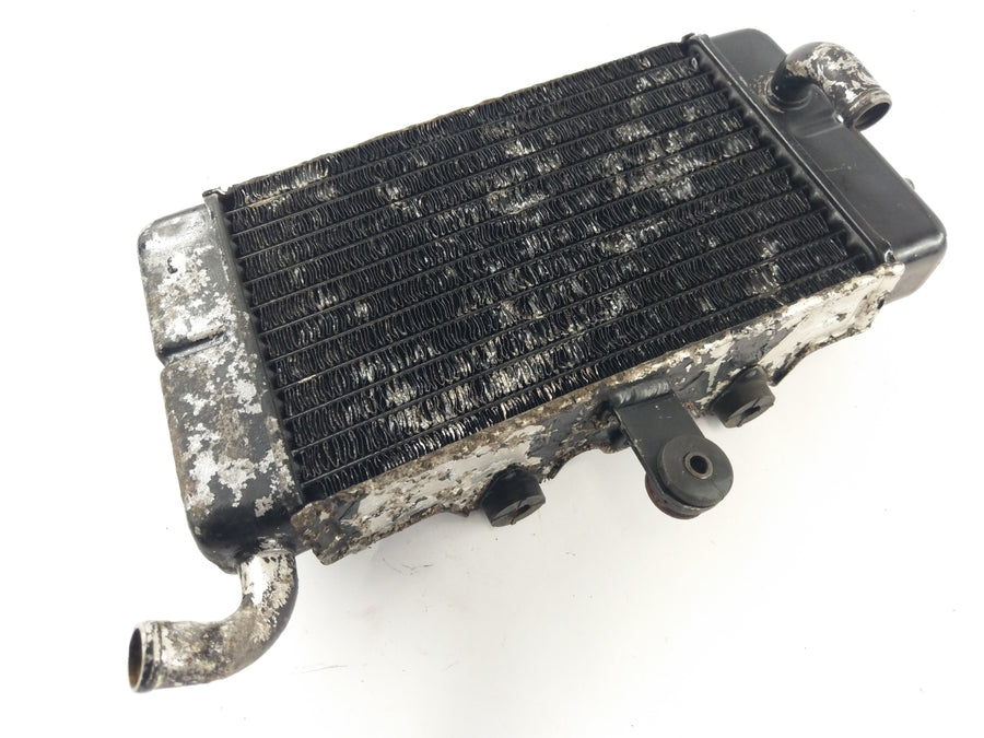 Honda XRV 650 African Twin RD03 [1989] - Radiator Water Cooler