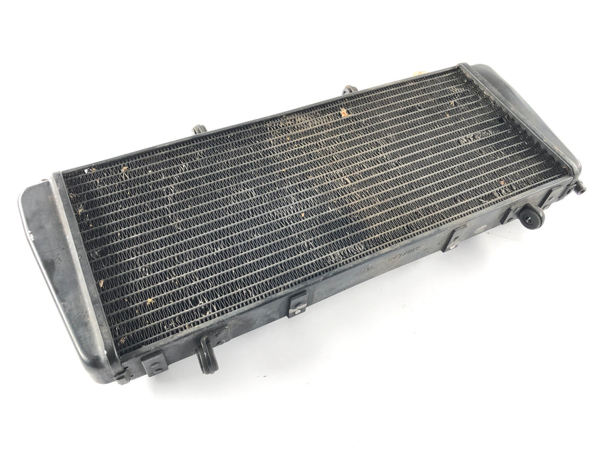 Aprilia RSV 1000 RR Factory [2009] - Radiator Water Cooler