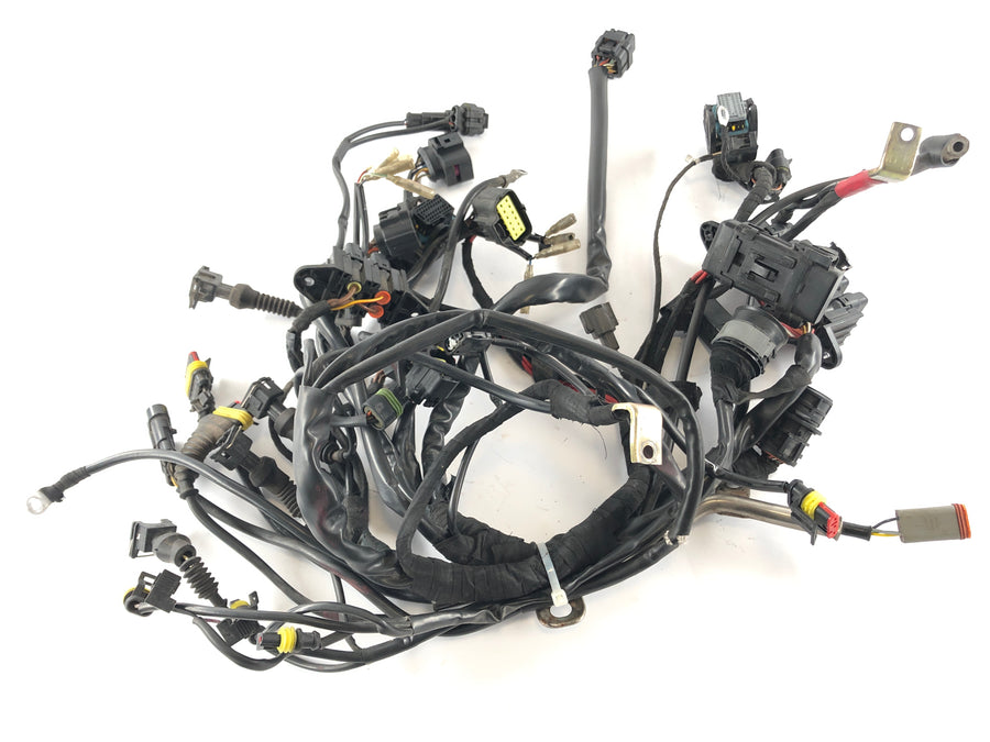 Ducati Multistrada 1000 DS [2003] - Wiring harness main wiring harness