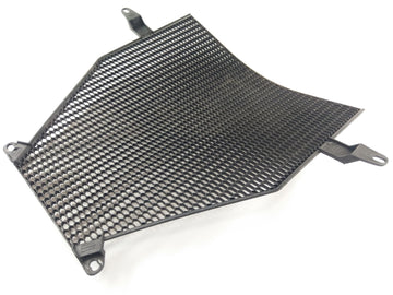 BMW K 1200 R [2010] - Radiator cover - 0