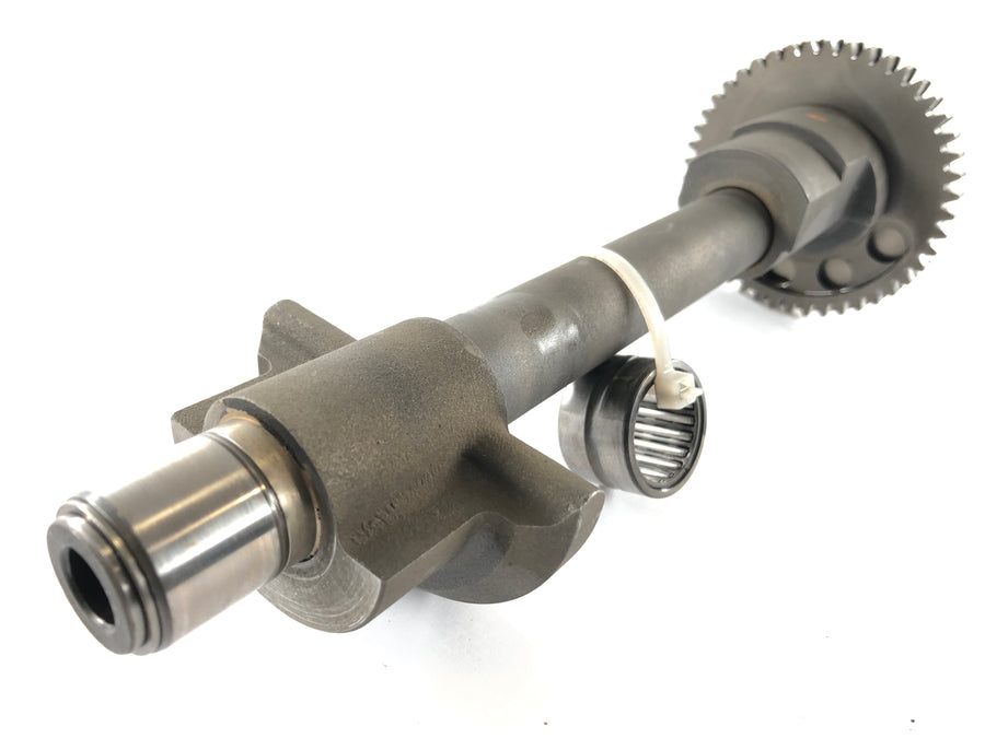 Triumph Speed ​​Triple 955i T509 [1997] - balance shaft