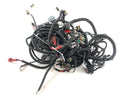 Can Am Spyder SM5 [2009] - Wiring harness-2