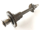 Triumph Tiger 955i 709EN [2001] - balance shaft-4