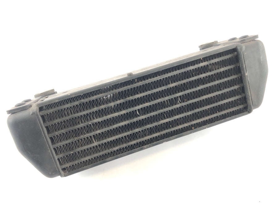 BMW R 1150 GS [2000] - cool oil cooler