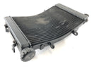 Triumph Street Triple R 675 D67LD [2008] - Radiator Water Cooler-3