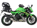 Kawasaki Ninja 125 [2018-2020] - Tanking Basic including counterpart tank sac-1