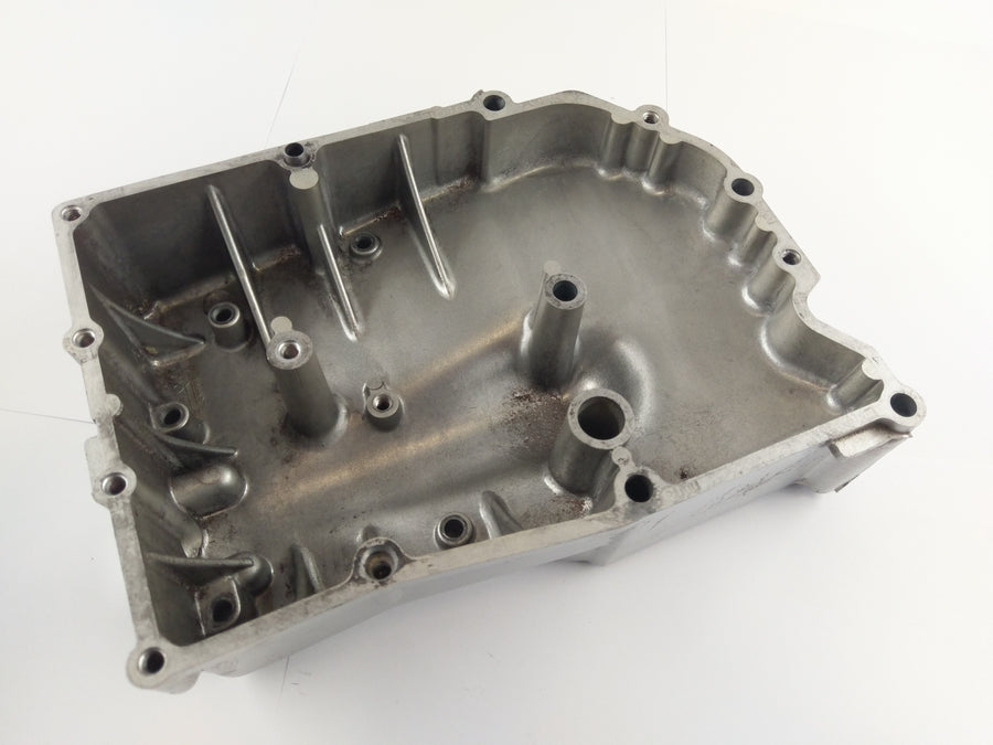 Yamaha TRX 850 4UN [1999] - Engine cover