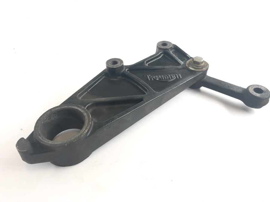 Triumph Tiger 955i 709EN [2001] - Rear brake anchor plate