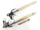 Triumph Speed ​​Triple 1050 515NJ [2006] - Fork telescopic fork with axle shaft seals leaking-1