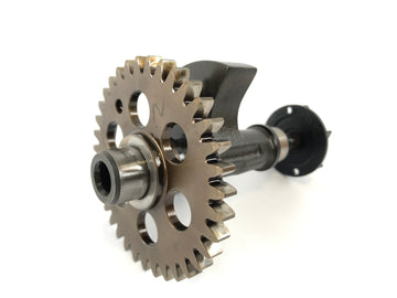 KTM Duke 690 A3 [2012] - Balance shaft with water pump wheel - 0