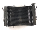 Triumph Street Triple R 675 D67LD [2008] - Radiator Water Cooler-2