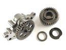 Ducati 999 H4 [2003] - Oil pump-1