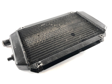 Kawasaki VN 800 Classic [2005] - Water Cooler Radiator