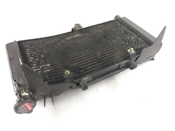 Honda CBR 900 RR SC28 [1993] - Radiator Water Cooler - 0