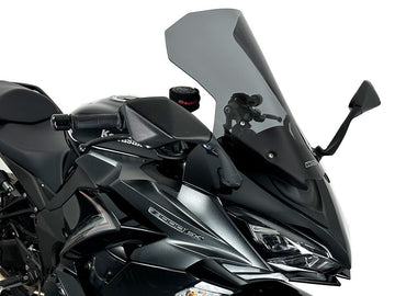 Kawasaki Ninja 1000 SX [2021-2024] - Caponord Windschild – Ansicht 1