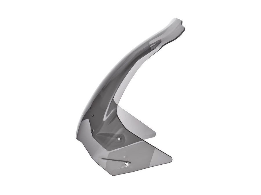 BMW F 650 GS [2008-2012] - Caponord windshield – view 5