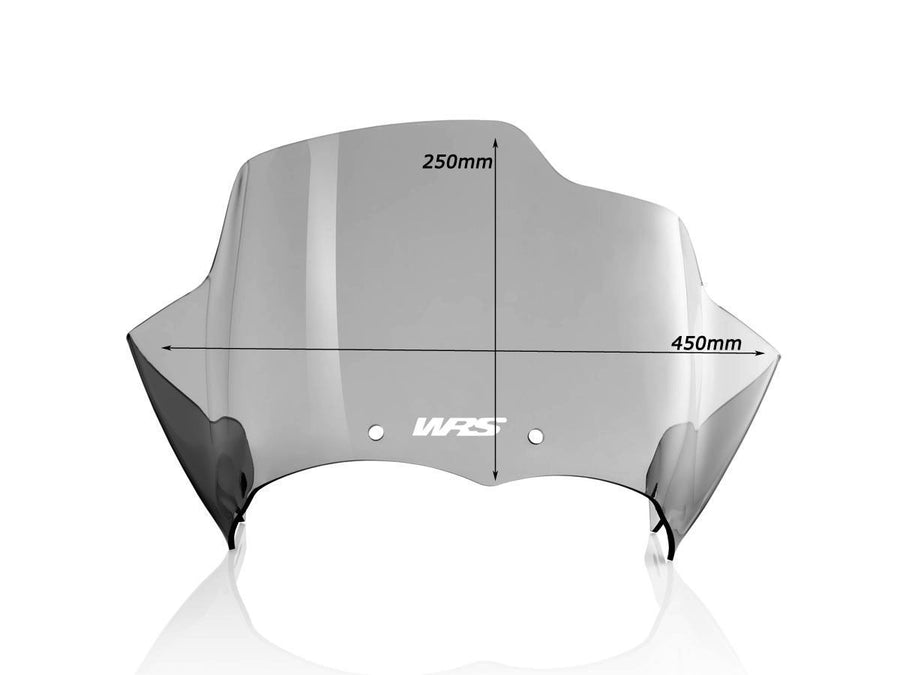 BMW R 1200 GS [2004-2012] - Sport Windschild – Ansicht 7