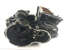 Triumph Speed ​​Triple T509 885i [1998] - Engine housing empty housing-7