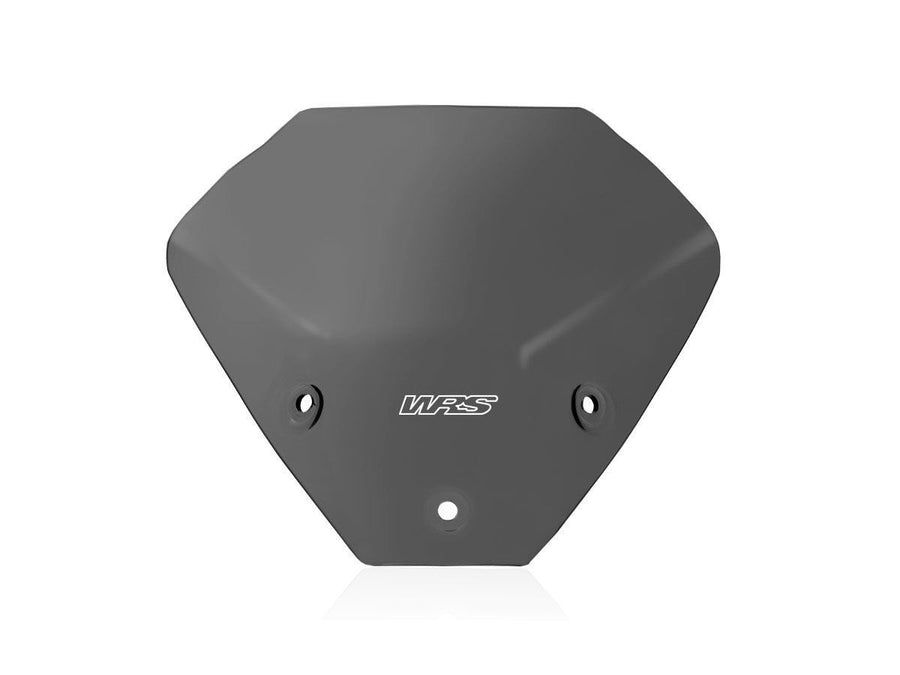 BMW M 1000 R [2023-2024] - Touring Windschild – Ansicht 10