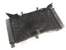 Honda CBR 900 RR SC28 [1993] - Radiator Water Cooler-1